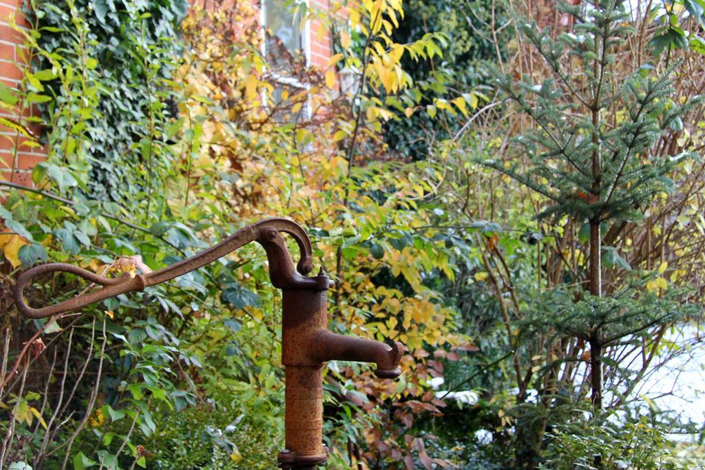Zinne-wigger Appartement